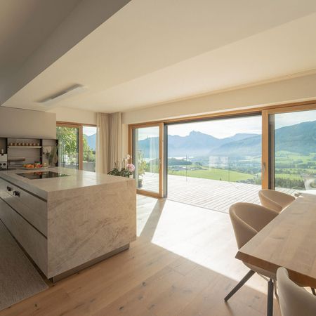 ACTUAL Holz-Alu ALwood Fenster Hebeschiebeelemente 03a cMNagl2022