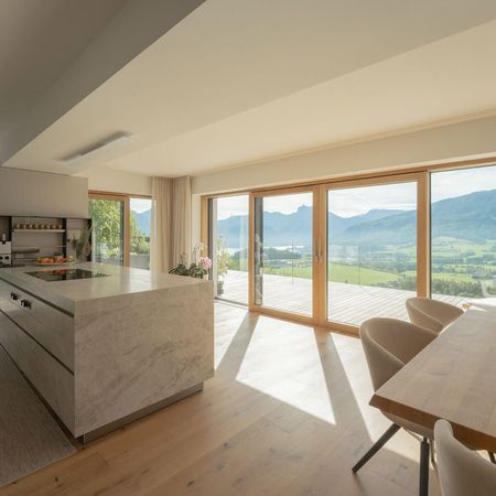 ACTUAL Holz-Alu ALwood Fenster Hebeschiebeelemente 03b cMNagl2022