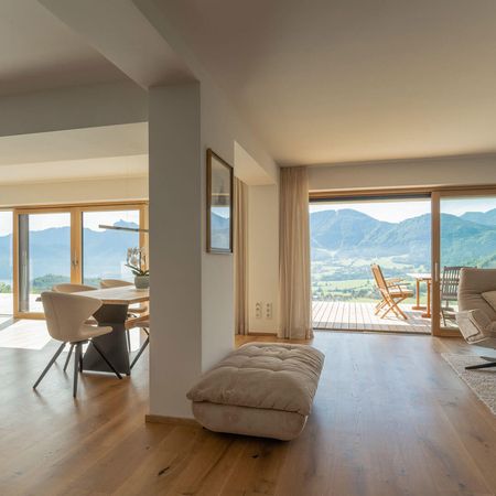 ACTUAL Holz-Alu ALwood Fenster Hebeschiebeelemente 06 cMNagl2022